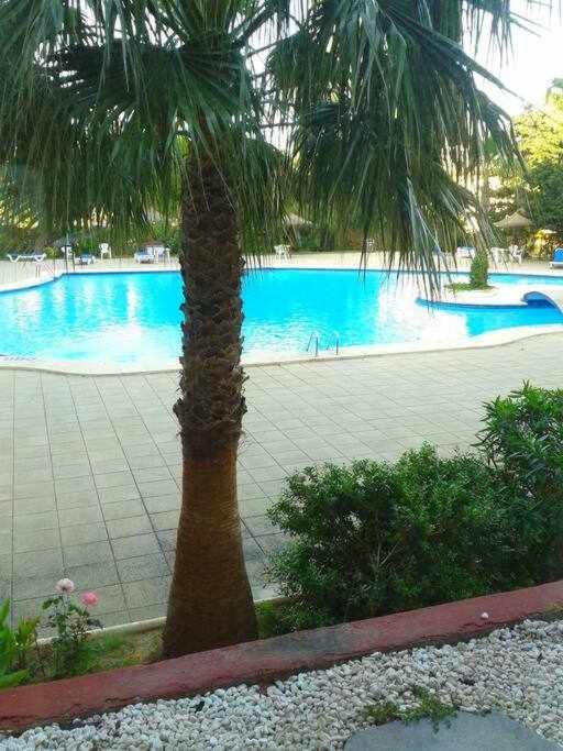Piso Moderno Con Piscina Siesta 2 Apartamento Port de Alcudia  Exterior foto